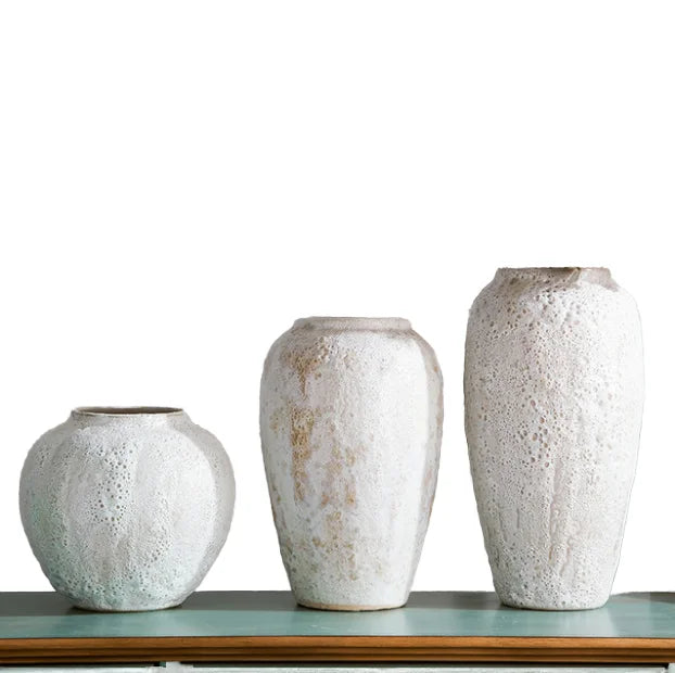 Contemporary Chinese Ceramic Vase Luxury Tabletop Decor with Unique Display Modern Design for Home