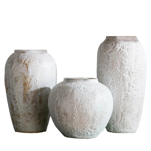Contemporary Chinese Ceramic Vase Luxury Tabletop Decor with Unique Display Modern Design for Home